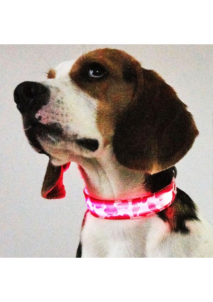 Yeşil Stil S Beden LED Köpek Tasması Köpek Güvenliği Gece Lambası Yanıp Sönen Kolye Kamuflaj Baskı Köpek Tasması (Yurt Dışından)