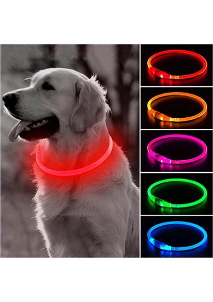 Yeşil Stil LED Işık Köpek Tasması Ayrılabilir Parlayan USB Şarj Aydınlık Tasma Büyük Kedi Yaka Küçük Parlak Labrador Evcil Köpekler Ürünleri (Yurt Dışından) fiyatları