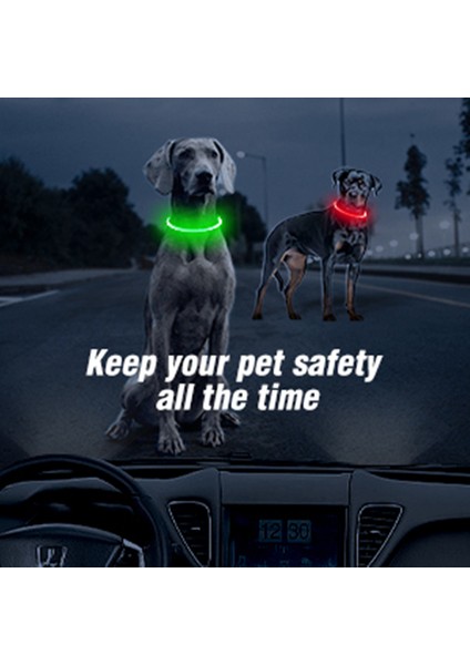 Yeşil Stil LED Işık Köpek Tasması Ayrılabilir Parlayan USB Şarj Aydınlık Tasma Büyük Kedi Yaka Küçük Parlak Labrador Evcil Köpekler Ürünleri (Yurt Dışından) indirimleri