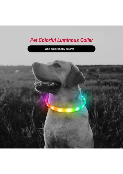 Yaka Tarzı S Beden Pet Köpek Renkli Aydınlık Yaka Ayarlanabilir Şarj Edilebilir USB Yaka Renkleri Değiştirebilir Gece Güvenliği Yanıp Sönen Glow Evcil Hayvan Ürünleri (Yurt Dışından) fiyatları