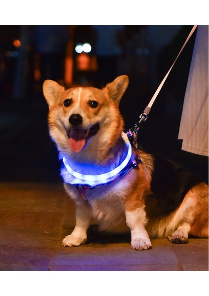 Yaka Tarzı S Beden Pet Köpek Renkli Aydınlık Yaka Ayarlanabilir Şarj Edilebilir USB Yaka Renkleri Değiştirebilir Gece Güvenliği Yanıp Sönen Glow Evcil Hayvan Ürünleri (Yurt Dışından) fırsatları