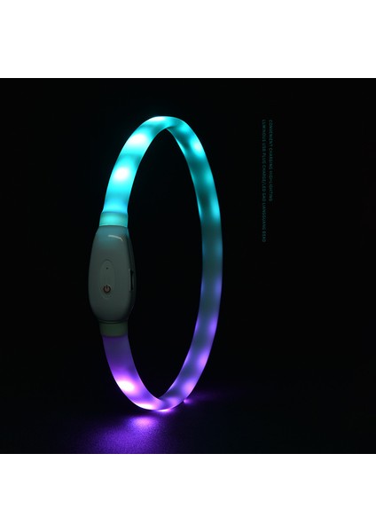 Yaka Tarzı S Beden Pet Köpek Renkli Aydınlık Yaka Ayarlanabilir Şarj Edilebilir USB Yaka Renkleri Değiştirebilir Gece Güvenliği Yanıp Sönen Glow Evcil Hayvan Ürünleri (Yurt Dışından) indirimleri