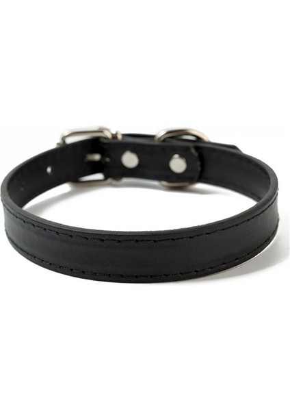 Siyah Stil M Boyutu Evcil Hayvan Malzemeleri Köpek Tasması Alaşım Toka Köpek Zinciri Kedi Kolye Boyutu Ayarlanabilir Küçük ve Orta Boy Köpek Tasmaları Köpek Malzemeleri (Yurt Dışından)