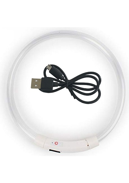 Beyaz Stil 35CM LED USB Köpek Tasması Gece Güvenlik Aydınlatma Anti-Kayıp Köpek Tasması Aydınlık Şarj Yaka Pet Köpek Yavrusu Gece Flaş Evcil Hayvan Aksesuarları (Yurt Dışından)