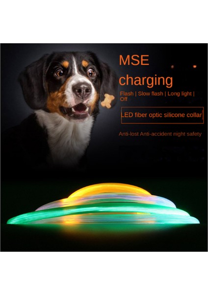 Beyaz Stil 35CM LED USB Köpek Tasması Gece Güvenlik Aydınlatma Anti-Kayıp Köpek Tasması Aydınlık Şarj Yaka Pet Köpek Yavrusu Gece Flaş Evcil Hayvan Aksesuarları (Yurt Dışından) fırsatları