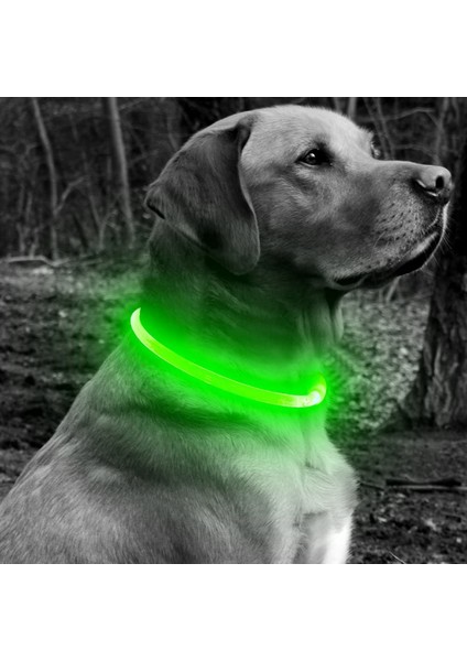 Beyaz Stil 35CM LED USB Köpek Tasması Gece Güvenlik Aydınlatma Anti-Kayıp Köpek Tasması Aydınlık Şarj Yaka Pet Köpek Yavrusu Gece Flaş Evcil Hayvan Aksesuarları (Yurt Dışından) indirimleri