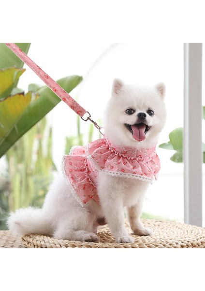 No.4 Stili S Beden Dantel Trim Yaka Küçük Köpek Yelek Koşum ve Tasma Seti Yumuşak Örgü Yastıklı Ayarlanabilir Köpek Yaz Giysileri (Yurt Dışından)