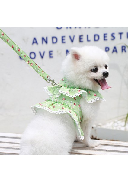 No.4 Stili S Beden Dantel Trim Yaka Küçük Köpek Yelek Koşum ve Tasma Seti Yumuşak Örgü Yastıklı Ayarlanabilir Köpek Yaz Giysileri (Yurt Dışından)