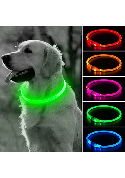 Mavi Stil M Boyutu Köpek Işık Yaka Ayrılabilir Ayarlanabilir Parlayan USB Şarj Gece Aydınlık Yaka Anti-Kayıp Yaka LED Pet Köpekler Için Labrador (Yurt Dışından) fiyatları