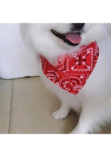 Kırmızı Stil S Beden Baskılı Eşarp ile Evcil Hayvan Tasmaları Sevimli Ayarlanabilir Küçük Köpek Tasması Atkısı Köpek Pet Salya Havlu Kedi Aksesuarları (Yurt Dışından) fırsatları