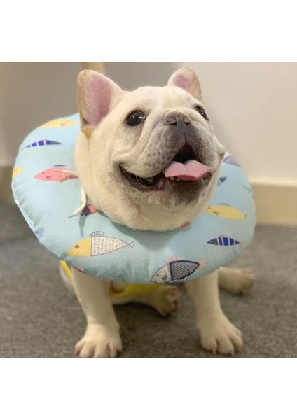 No.20 Tarzı S Beden Evcil Hayvan Tasması Kedi Köpek Elizabeth Daire Bakım Başlık Anti-Yalama Anti-Bite Koruyucu Kılıf Yumuşak Boyunluk Ayarlanabilir Askı (Yurt Dışından) modelleri