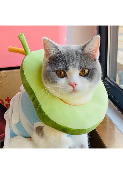 No.12 Tarzı M Boyutu Yeni Pet Elizabeth Yüzük Kedi Yaka Avokado Simit Köpek Golf Sopası Kılıfı Anti-Yalama Anti-Isırık Sterilizasyon Malzemeleri Pet Yaka (Yurt Dışından) modelleri