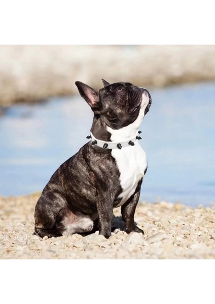 A07 Tarzı S Beden Yuvarlak Kafa Perçin Dekorasyon Köpek Tasması Ayarlanabilir Çinko Alaşım Toka Correa Perro Orta Büyük Mascotas Yaka Perro Collier (Yurt Dışından)