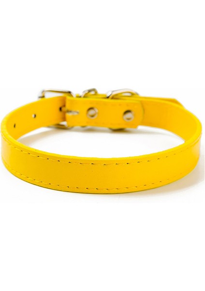 Altın Tarzı M Boyutu Evcil Hayvan Malzemeleri Köpek Tasması Alaşım Toka Köpek Zinciri Kedi Kolye Boyutu Ayarlanabilir Küçük ve Orta Boy Köpek Tasmaları Köpek Malzemeleri (Yurt Dışından)