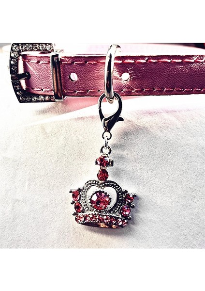 Altın Tarzı M Boyutu Evcil Hayvan Malzemeleri Köpek Tasması Alaşım Toka Köpek Zinciri Kedi Kolye Boyutu Ayarlanabilir Küçük ve Orta Boy Köpek Tasmaları Köpek Malzemeleri (Yurt Dışından) fırsatları