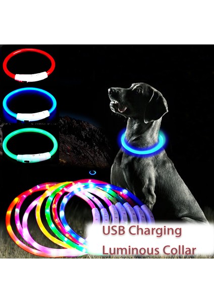 Mavi Stil 50CM LED USB Köpek Tasması Gece Güvenlik Aydınlatma Anti-Kayıp Köpek Tasması Pet Köpek Yavrusu Gece Flaş Şarj Yaka Evcil Hayvan Aksesuarları (Yurt Dışından) fiyatları