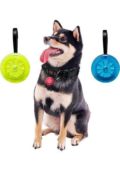 Mavi Stil LED Uyarı Işığı Köpek Kedi Tasmaları Spot Göstergesi Su Geçirmez Pet Gece Farları Anti-Kayıp Yaka Evcil Hayvan Aksesuarları (Yurt Dışından) fiyatları