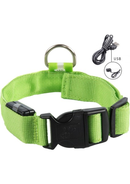 B Tarzı S Beden USB Şarj Edilebilir LED Köpek Tasması Anti-Lostavoid Araba Kazası Yaka Köpekler Için Yavru Köpek Tasmaları LED Malzemeleri Evcil Hayvan Ürünleri Açar (Yurt Dışından)