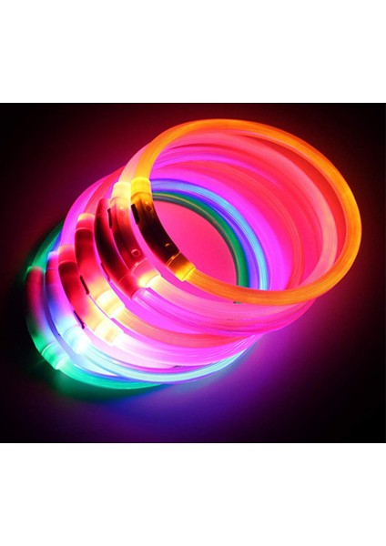 Sarı Tarzı 70CM LED USB Köpek Tasması Gece Güvenlik Aydınlatma Anti-Kayıp Köpek Tasması Pet Köpek Yavrusu Gece Flaş Şarj Yaka Evcil Hayvan Aksesuarları (Yurt Dışından) modelleri