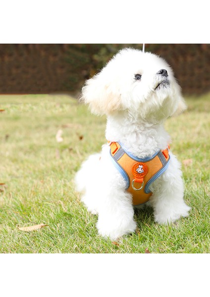 10-Mavi Tarzı S Beden Ayarlanabilir Köpek Koşum Hiçbir Çekme Sevimli Kedi Yumuşak Yürüyüş Tasma Seti Pet Köpekler Tasması Yelek Chihuahua Beagle Küçük Orta Köpekler Için (Yurt Dışından) modelleri