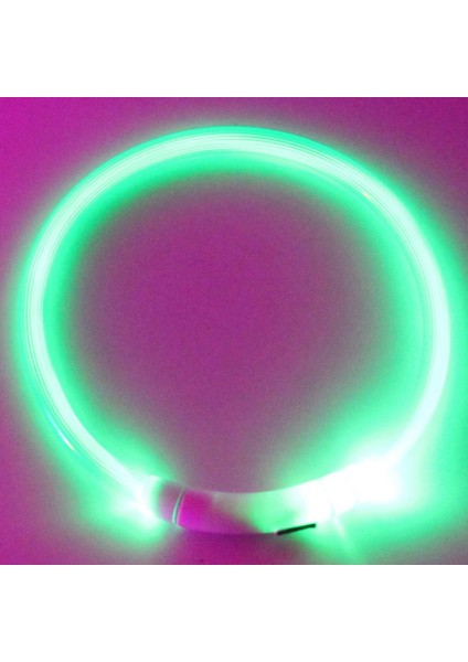 Sarı Stil 35CM 6 Renk LED Köpek Tasması Şarj Edilebilir Aydınlık LED Köpek Kolye Suya Dayanıklı USB Şarj Köpek Işık Up Yaka Dış Mekan Için (Yurt Dışından)