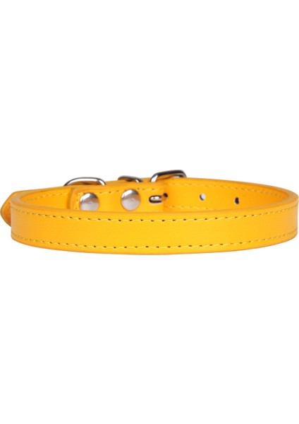 Altın Tarzı 1.0X30CM Alaşım Toka Deri Köpek Tasması Kedi Yaka Boyutu Ayarlanabilir Küçük ve Orta Köpek Yavru Yaka Köpek Malzemeleri (Yurt Dışından)