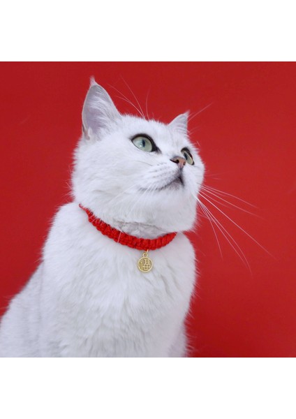 Bir Stil 17-32CM Evcil Hayvan Malzemeleri Kırmızı Dize Örgü Kedi Yaka Köpek Tavşan Çin Tarzı Fuxi Bahar Ejderha Tekne Festivali Zongzi Çan Kolye 1 Adet (Yurt Dışından)