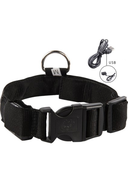 Bir Stil M Boyutu USB Şarj Edilebilir LED Köpek Tasması Anti-Lostavoid Araba Kazası Yaka Köpekler Için Yavru Köpek Tasmaları LED Malzemeleri Evcil Hayvan Ürünleri Açar (Yurt Dışından)