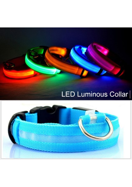 Bir Stil M Boyutu USB Şarj Edilebilir LED Köpek Tasması Anti-Lostavoid Araba Kazası Yaka Köpekler Için Yavru Köpek Tasmaları LED Malzemeleri Evcil Hayvan Ürünleri Açar (Yurt Dışından) fiyatları