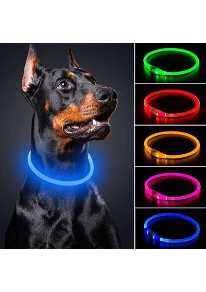 Kırmızı Stil 35CM USB Şarj Aydınlık Köpek Tasması LED Gece Parlayan Pil Köpek Kaybı Önleme Köpek Aksesuarları Malzemeleri Evcil Hayvanlar Için Makaleler (Yurt Dışından) modelleri