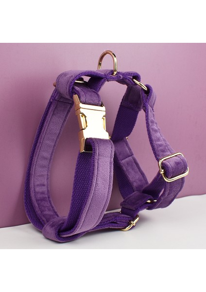 Çiçekler Tarzı L Boyutu Mor Kadife Köpek Yaka ve Tasma Seti Küçük Orta Büyük Köpekler Için Özel Kazınmış Tabela Evcil Hayvan Malzemeleri Köpek Tasma Kadife 16 (Yurt Dışından) modelleri