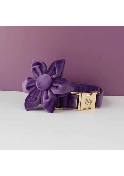 Çiçekler Tarzı L Boyutu Mor Kadife Köpek Yaka ve Tasma Seti Küçük Orta Büyük Köpekler Için Özel Kazınmış Tabela Evcil Hayvan Malzemeleri Köpek Tasma Kadife 16 (Yurt Dışından) indirimleri