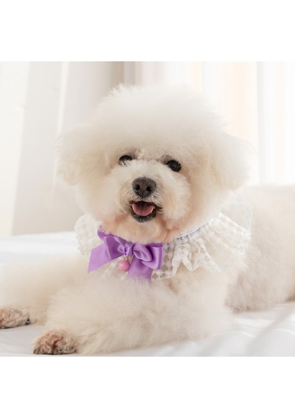 Yeşil Tarzı S Beden Evcil Hayvan Aksesuarları Kedi ve Köpek Yay Dantel Çan Pet Önlük Prenses Tarzı Tükürük Havlu Yaka El Dokuma Kolye Evcil Hayvan Aksesuarları (Yurt Dışından) fiyatları