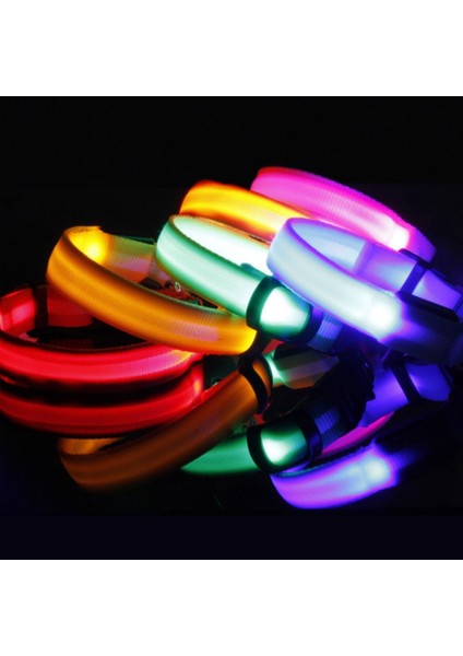 E Tarzı S Beden USB Şarj Edilebilir LED Köpek Tasması Anti-Lostavoid Araba Kazası Yaka Köpekler Için Yavru Köpek Tasmaları LED Malzemeleri Evcil Hayvan Ürünleri Açar (Yurt Dışından) fırsatları