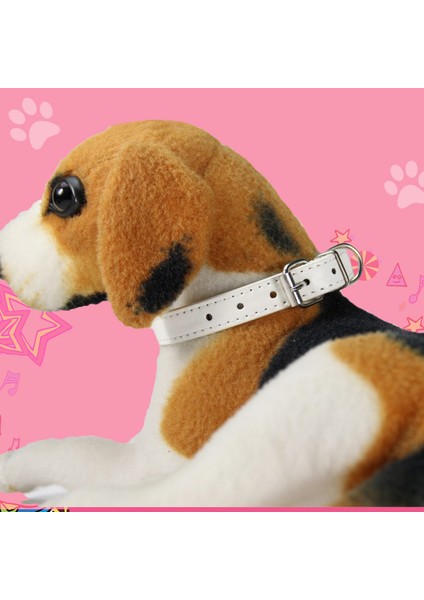 Haki Tarzı 1.3X35CM Alaşım Toka Deri Köpek Tasması Kedi Yaka Boyutu Ayarlanabilir Küçük ve Orta Köpek Yavru Yaka Köpek Malzemeleri (Yurt Dışından) fırsatları