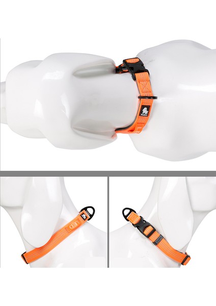 Turuncu Tarzı S Beden Truelove Evcil Hayvan Tasmaları Yansıtıcı Ayarlanabilir Boyut D-Tipi Toka Büyük Küçük Köpek Ürün TLC5271 Için Pilot Işık Konumunu Giyiyor (Yurt Dışından) indirimleri