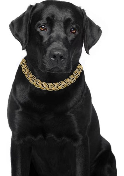 Gümüş Tarzı 50CM Lüks Tasarımcı H Harfi Kedi Köpek Tasmaları Bling Diamondd Küba Zincir Köpek Kolye Altın Renk Pet Takı Aksesuarları Ayarlanabilir (Yurt Dışından) fırsatları
