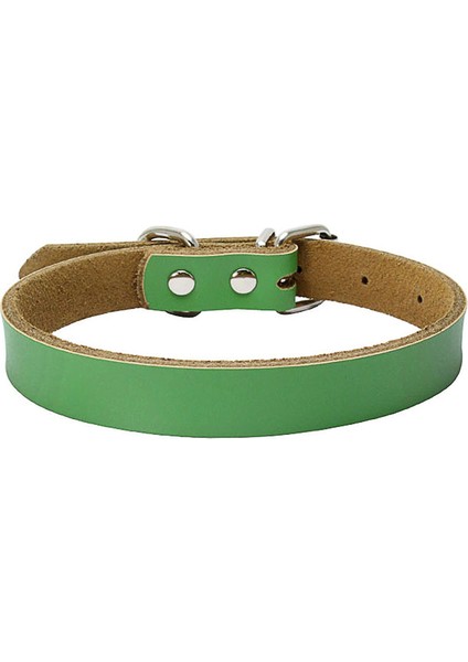 Yeşil Stil S Beden Temel Pet Köpek Tasması Yumuşak Deri Renkli Ayarlanabilir Köpekler Askı Kravat Küçük Orta Köpek Için Dayanıklı Kişilik Köpek Zinciri (Yurt Dışından)