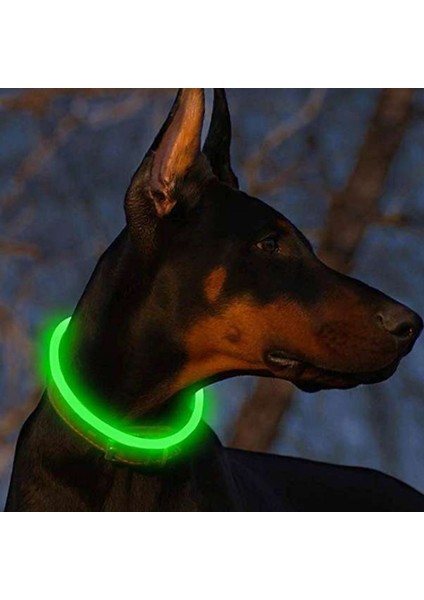 Yeşil Tarzı 35CM USB Şarj Aydınlık Köpek Tasması LED Gece Parlayan Pil Köpek Kaybı Önleme Köpek Aksesuarları Malzemeleri Evcil Hayvanlar Için Makaleler (Yurt Dışından) fırsatları