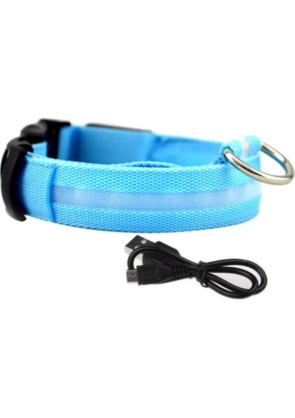Mavi Stil M Boyutu USB Şarj Edilebilir Anti-Kayıp Yanıp Sönen Yaka Pet Kolye LED Köpek Yavrusu Hafif Tel Örgü Yalıtım Levhası Flaş (Yurt Dışından)