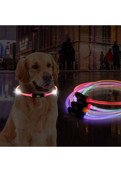 Yeşil Stil Köpek Için Pet Yaka Ayarlanabilir USB Şarj Plastik LED Işıklı Anti-Kayıp Boyunbağı (Yurt Dışından) modelleri