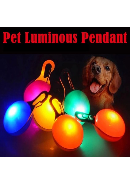 Turuncu Tarzı LED Işıklı Köpek Kedi Yaka Parlayan Kolye Flaş Işıkları Lightsnight Yürüyüş Pet Güvenliği Parlayan Kolye Pet Yaka Aksesuarı (Yurt Dışından) fiyatları