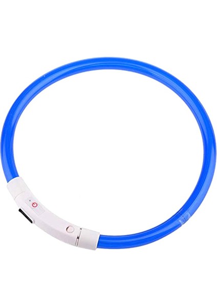 Mavi Stil S Beden USB Şarj Pet Köpek Tasması Ayarlanabilir LED Tüp Yanıp Sönen Gece Köpek Tasmaları Parlayan Aydınlık Güvenlik Evcil Yaka (Yurt Dışından)