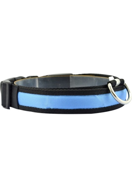 Mavi Stil Xl Boyutu LED Pet Yaka Aydınlık Yanıp Sönen Kolye Karanlıkta Parlayan Gece Güvenlik Pet Açık Yürüyüş Yürüyüş Malzemeleri (Yurt Dışından)