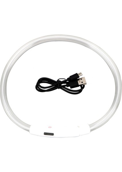 Renkli Stil M Boyutu LED USB Köpek Tasması Pet Köpek Gece Aydınlık Şarj Yaka LED Gece Güvenlik Yanıp Sönen Kızdırma Köpek Kaybı Önleme Yaka Pet Aksesuar (Yurt Dışından)