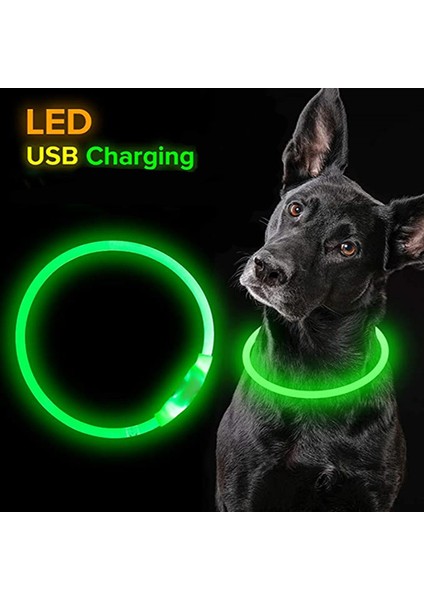 Renkli Stil M Boyutu LED USB Köpek Tasması Pet Köpek Gece Aydınlık Şarj Yaka LED Gece Güvenlik Yanıp Sönen Kızdırma Köpek Kaybı Önleme Yaka Pet Aksesuar (Yurt Dışından) fiyatları