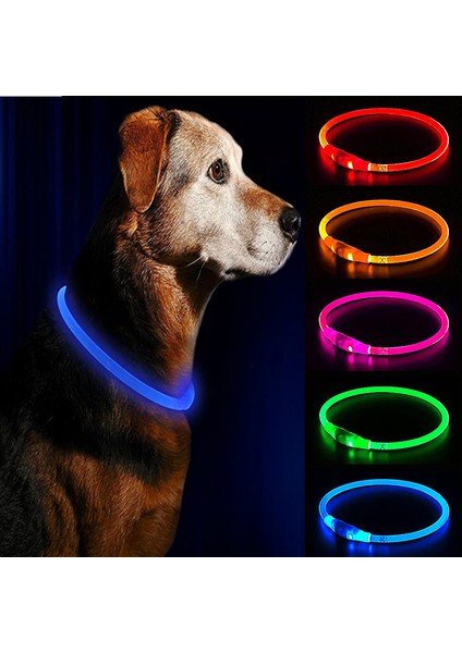 Renkli Stil M Boyutu LED USB Köpek Tasması Pet Köpek Gece Aydınlık Şarj Yaka LED Gece Güvenlik Yanıp Sönen Kızdırma Köpek Kaybı Önleme Yaka Pet Aksesuar (Yurt Dışından) modelleri