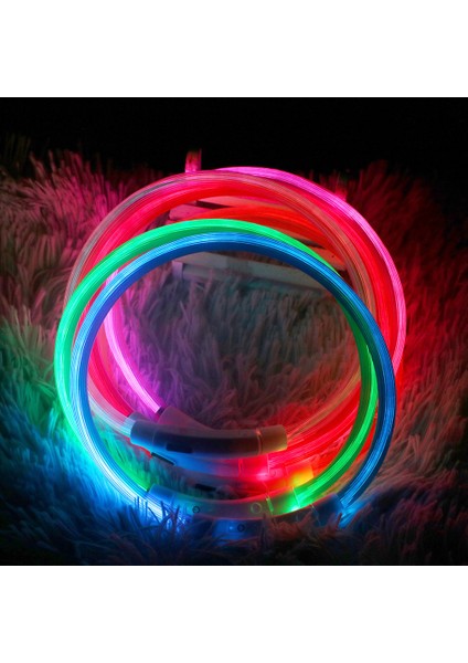 Renkli Stil M Boyutu LED USB Köpek Tasması Pet Köpek Gece Aydınlık Şarj Yaka LED Gece Güvenlik Yanıp Sönen Kızdırma Köpek Kaybı Önleme Yaka Pet Aksesuar (Yurt Dışından) fırsatları