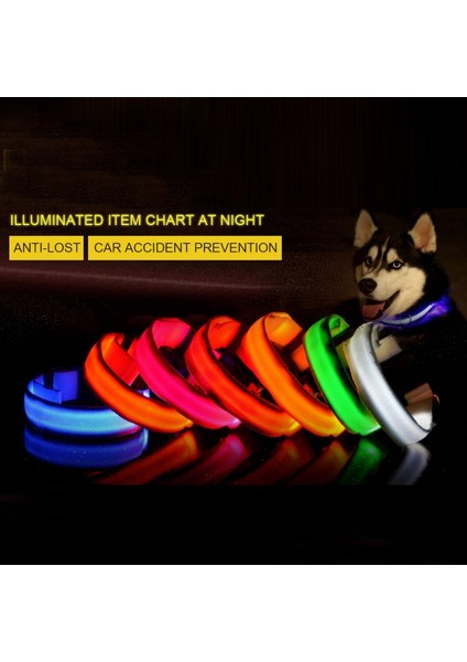 Yeşil Stil L Boyutu LED Pet Yaka Aydınlık Yanıp Sönen Kolye Karanlıkta Parlayan Gece Güvenlik Pet Açık Yürüyüş Yürüyüş Malzemeleri (Yurt Dışından)