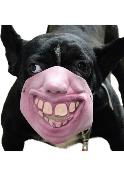 A5 Stili Xl Boyutu Cadılar Bayramı Korkunç Komik Köpek Namlu Demeti Silikon Anti-Bite Köpek Ağızlıklar Durdurma Kabuğu Bite Ağız Maskesi Ayarlanabilir Küçük Köpek Evcil Hayvanlar Için (Yurt Dışından) modelleri